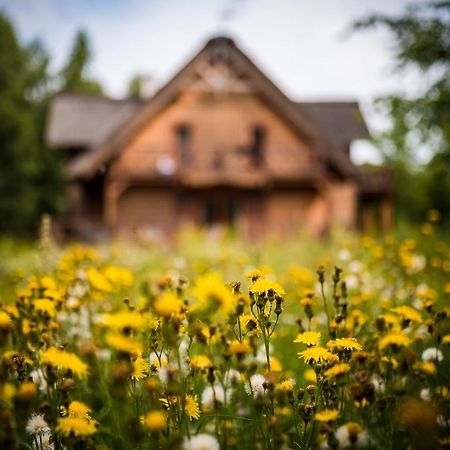 Brzozowy Gaj Bed & Breakfast Glowczyce Екстериор снимка