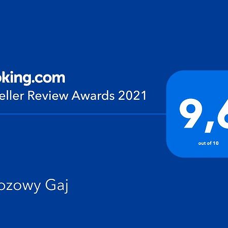Brzozowy Gaj Bed & Breakfast Glowczyce Екстериор снимка