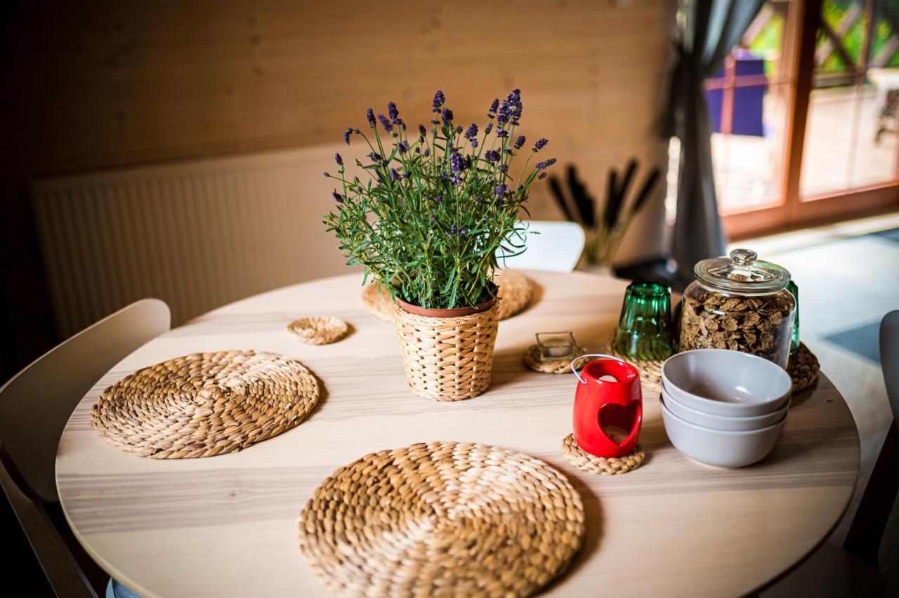 Brzozowy Gaj Bed & Breakfast Glowczyce Екстериор снимка