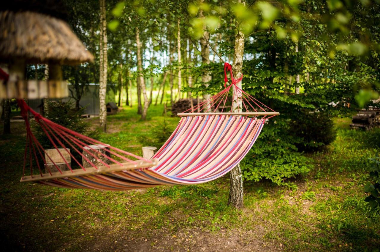 Brzozowy Gaj Bed & Breakfast Glowczyce Екстериор снимка