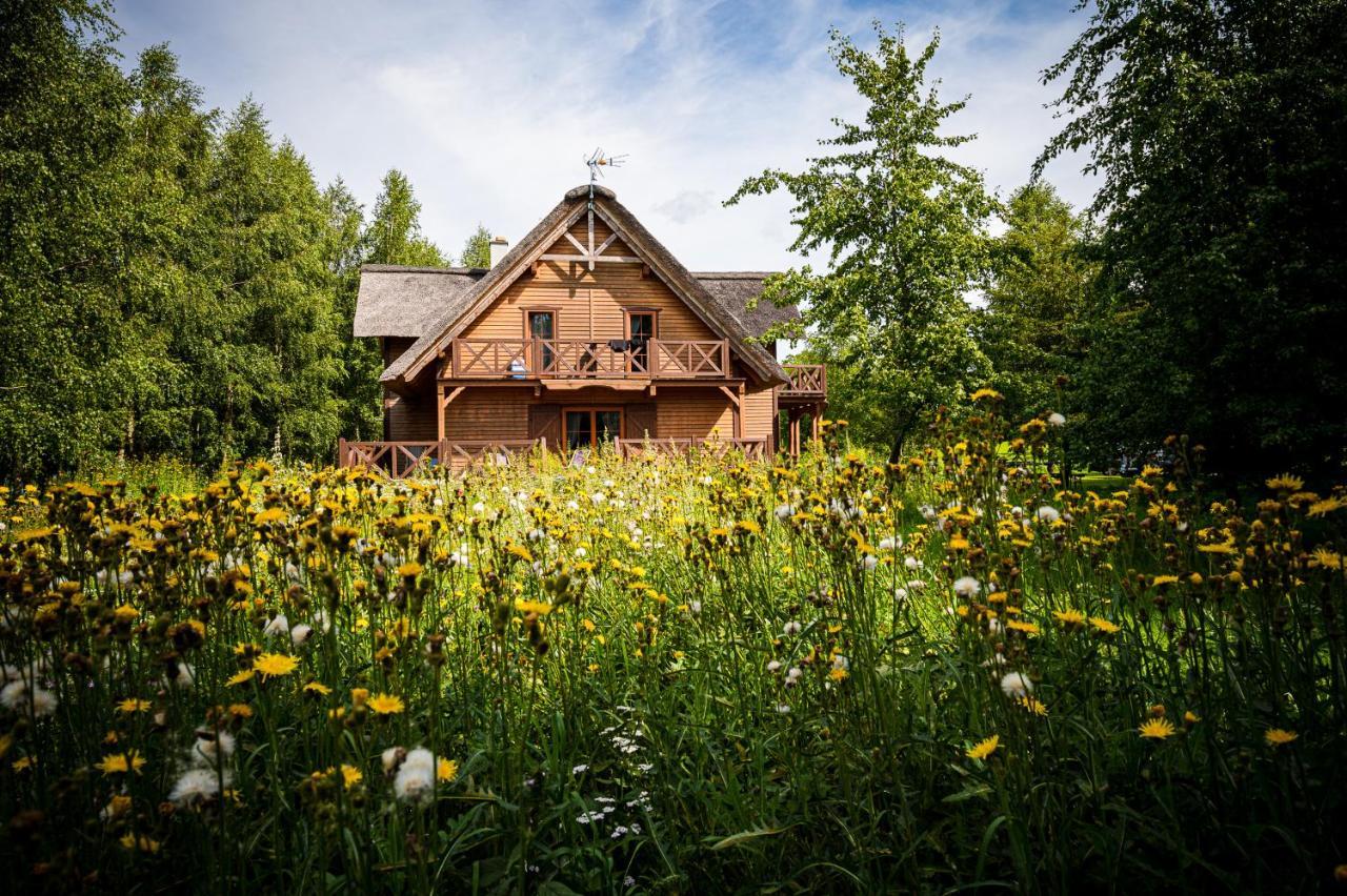 Brzozowy Gaj Bed & Breakfast Glowczyce Екстериор снимка