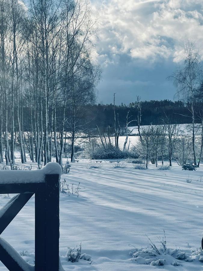 Brzozowy Gaj Bed & Breakfast Glowczyce Екстериор снимка